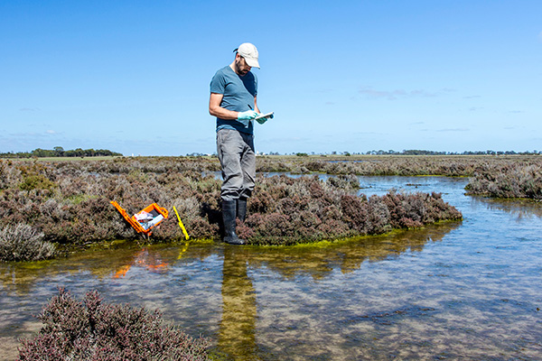 Scientist measuring environmental water quality parameters in a wetland.